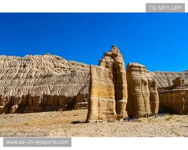 _极地探险骑行：在冰雪世界中追逐自由_，极地探险介绍